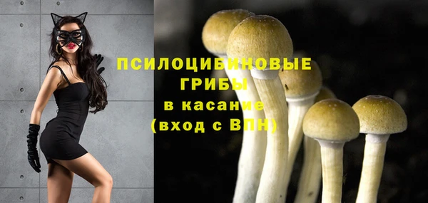 наркотики Бородино