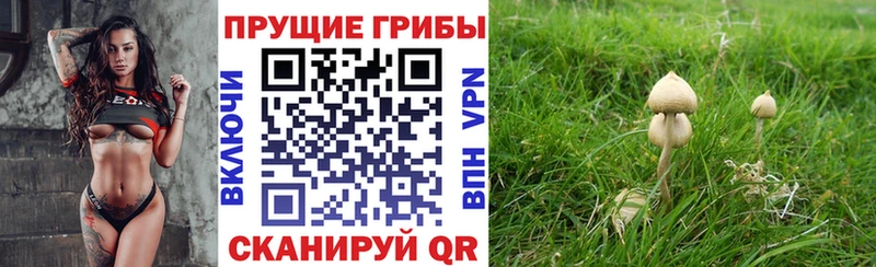 Галлюциногенные грибы прущие грибы Барнаул